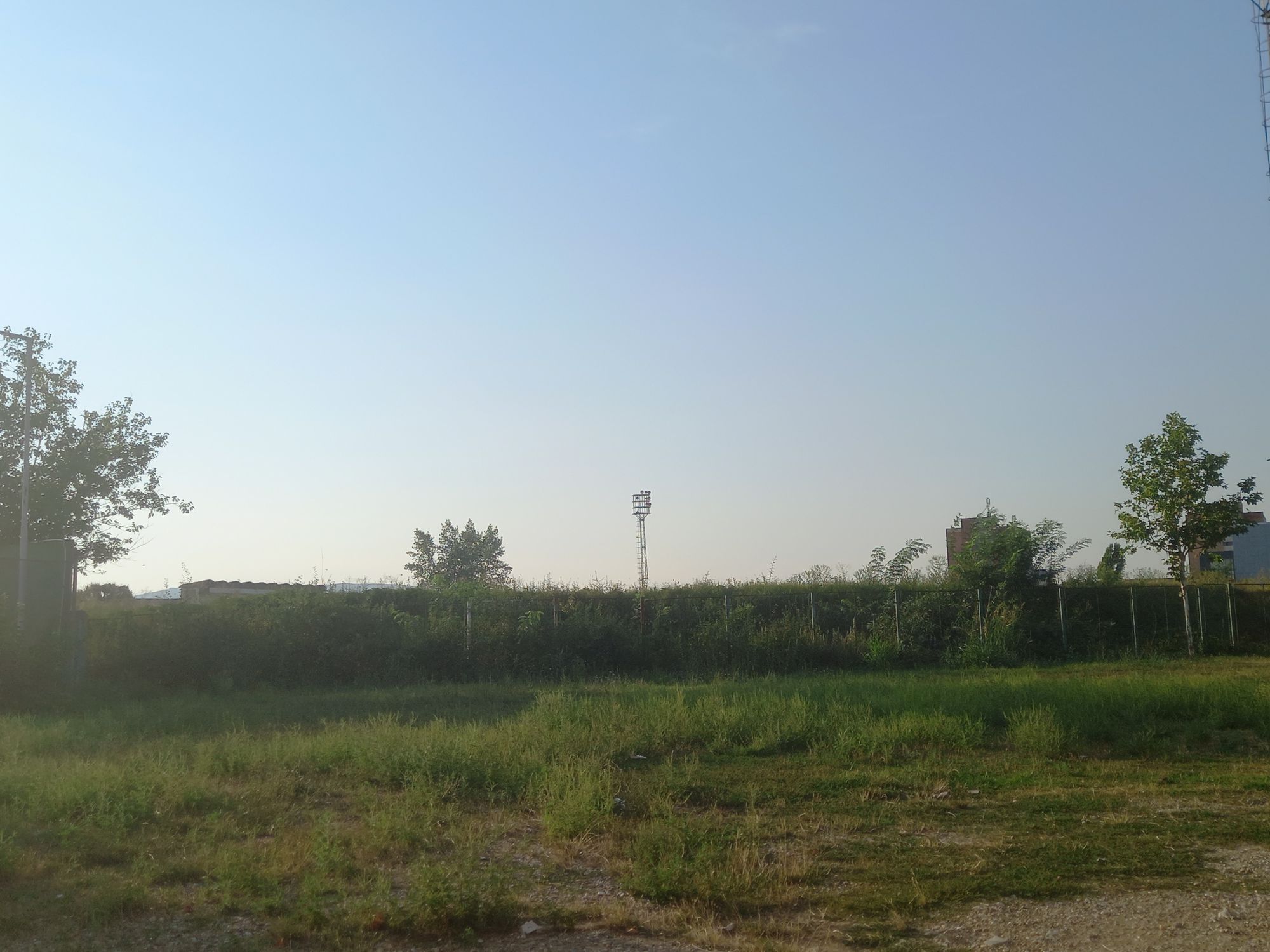 Ambrozie in Strada Crișan 25, Drobeta-Turnu Severin, Municipiu Drobeta-turnu Severin, Județul Mehedinți - inbound5643435521224807259.jpg