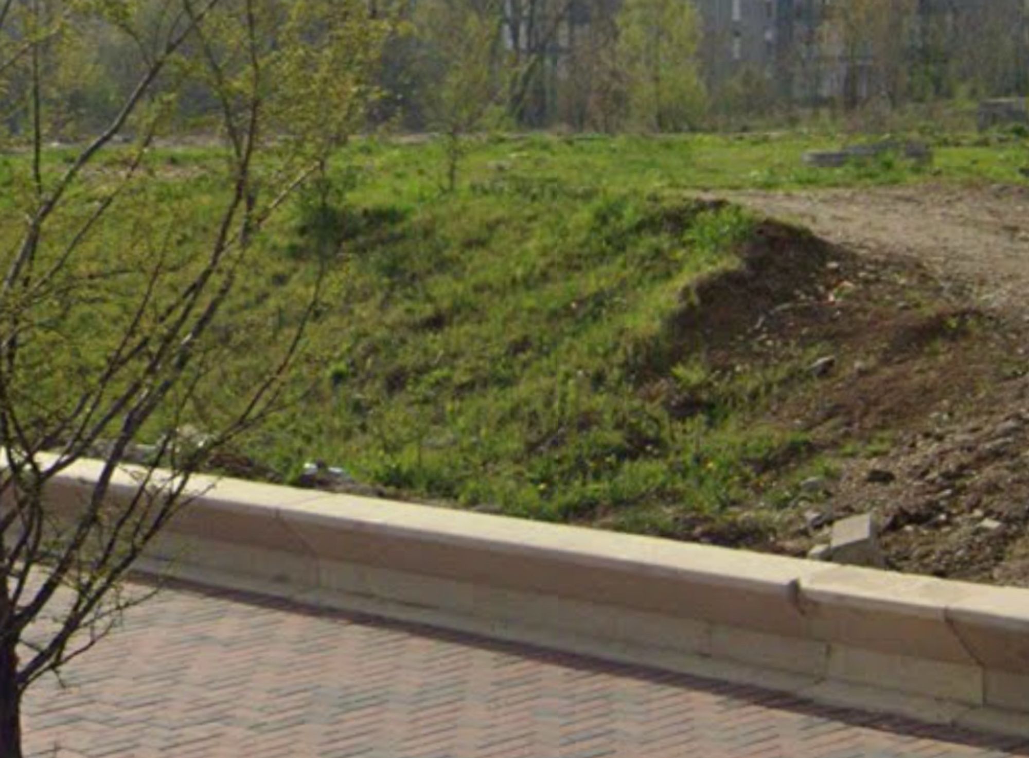 Ambrozie in Strada Liviu Rebreanu 22, București, Municipiul București - IMG_4124.jpeg