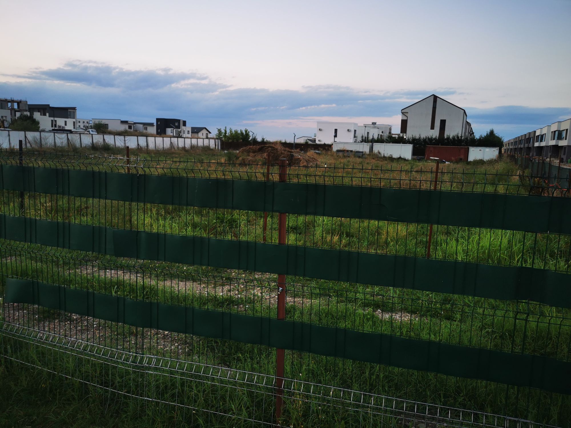 Ambrozie in Tunari, Comuna Tunari, Județul Ilfov