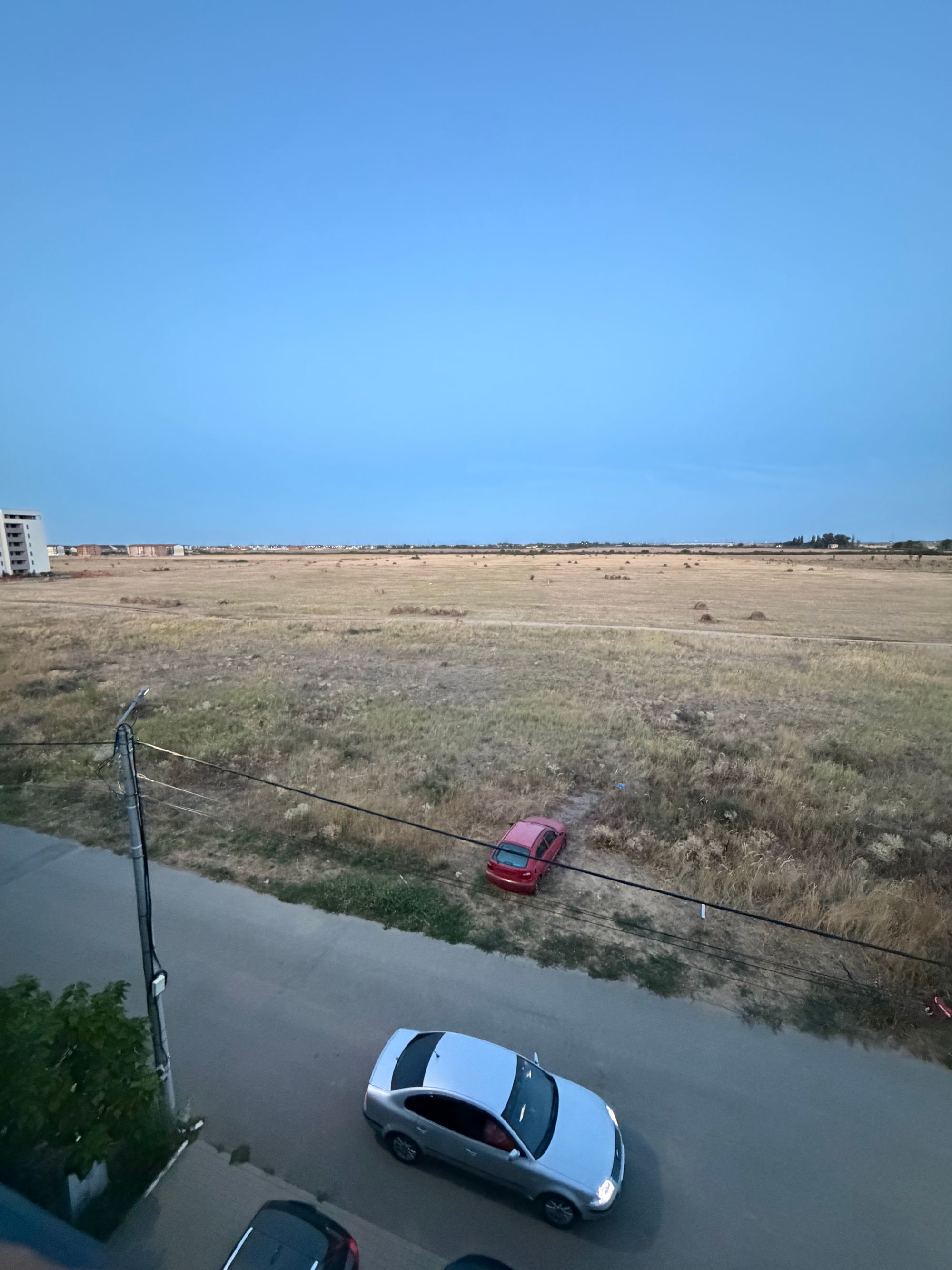 Ambrozie in Strada Visinului 2, Giroc, Comuna Giroc, Județul Timiș